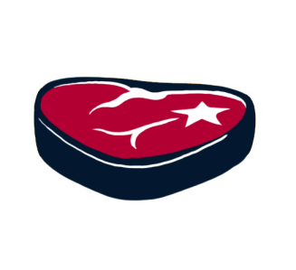 Houston Texans Fat Logo iron on transfers